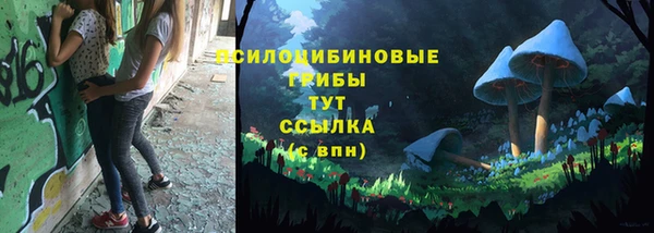 прущая мука Армянск