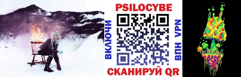 Галлюциногенные грибы Cubensis  где купить   Грязовец 
